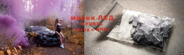 гидропоника Белокуриха