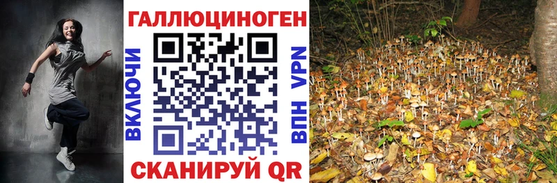 Галлюциногенные грибы ЛСД  купить наркотики сайты  Кремёнки 